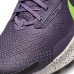 Nike Pegasus Trail 3 - DA8698-500 - 7
