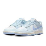 Nike Dunk Low - DD1873-400 - 5