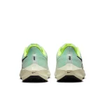 Nike Air Zoom Pegasus 39 - DH4072-301 - 6