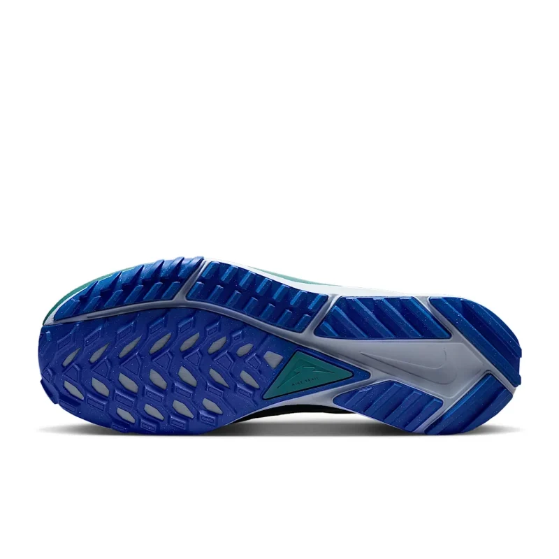 Nike React Pegasus Trail 4 - DJ6158-005 - 2