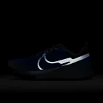 Nike Pegasus Trail 4 - DJ6158-401 - 10