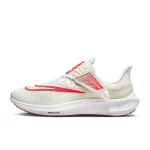 Nike Pegasus FlyEase - DJ7381-003 - 1