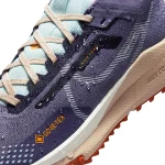 Nike Pegasus Trail 4 GORE-TEX - DJ7929-502 - 10