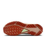 Nike Pegasus Trail 4 GORE-TEX - DJ7929-502 - 2
