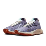 Nike Pegasus Trail 4 GORE-TEX - DJ7929-502 - 5