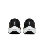 Nike Pegasus 40 - DV3854-002 - 6