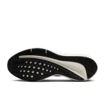 Nike Winflo 10 - DV4022-002 - 2