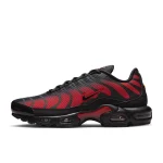 Nike Air Max Plus - DZ4507-600 - 1