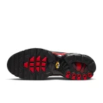 Nike Air Max Plus - DZ4507-600 - 2