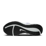 Nike Downshifter 13 - FD6454-004 - 2
