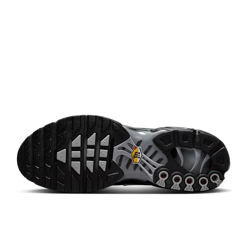 Nike Air Max Plus - FJ4224-001 - 2