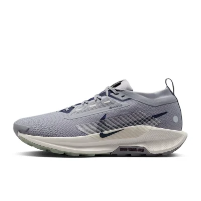 Nike Pegasus Trail 5 GORE-TEX - FQ0908-006 - 1