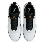 Jordan Max Aura 6 - FQ8298-101 - 4