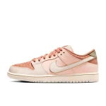 Nike SB Dunk Low Pro Premium - FV5926-200 - 1