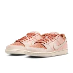 Nike SB Dunk Low Pro Premium - FV5926-200 - 5