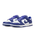 Nike Dunk Low Retro - DV0833-103 - 5