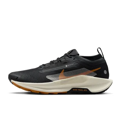 Nike Pegasus Trail 5 GORE-TEX - FQ0908-007 - 1