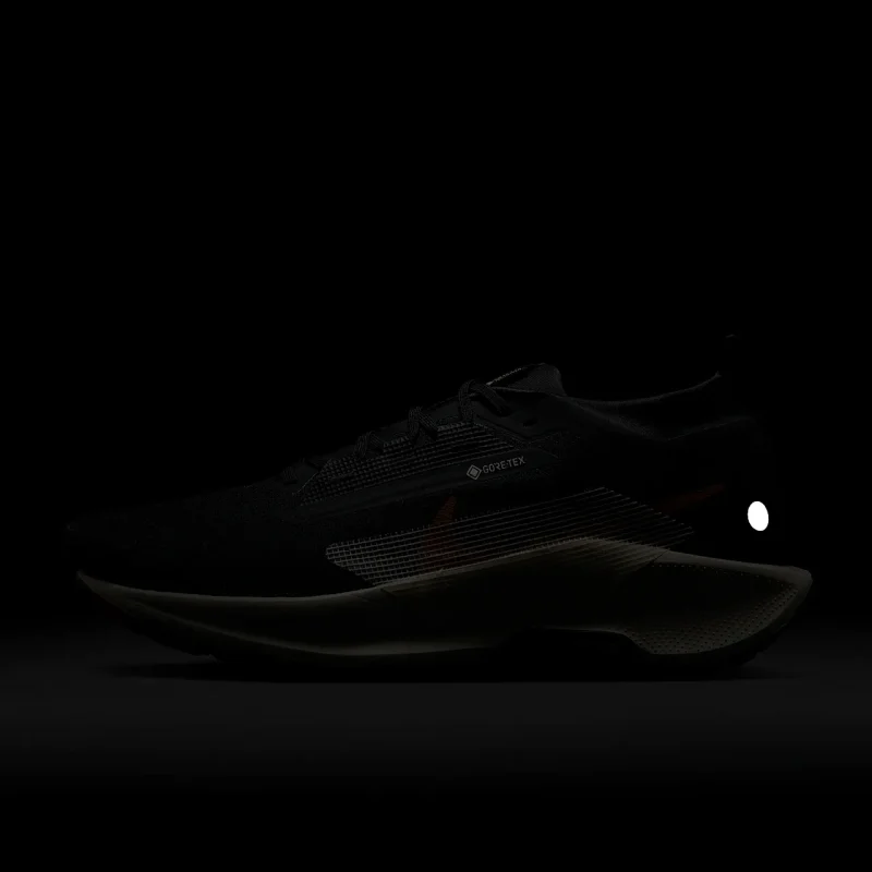 Nike Pegasus Trail 5 GORE-TEX - FQ0908-007 - 10