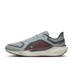 Nike Pegasus 41 GORE-TEX - FQ1356-003 - 1