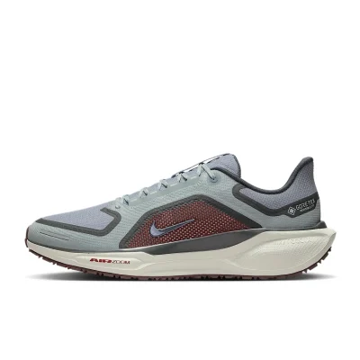 Nike Pegasus 41 GORE-TEX - FQ1356-003 - 1