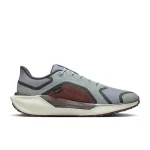 Nike Pegasus 41 GORE-TEX - FQ1356-003 - 3