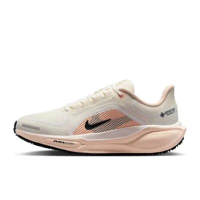Nike Pegasus 41 GORE-TEX - FQ1357-100 - 1