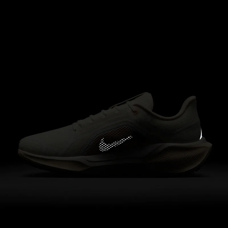 Nike Pegasus 41 GORE-TEX - FQ1357-100 - 12