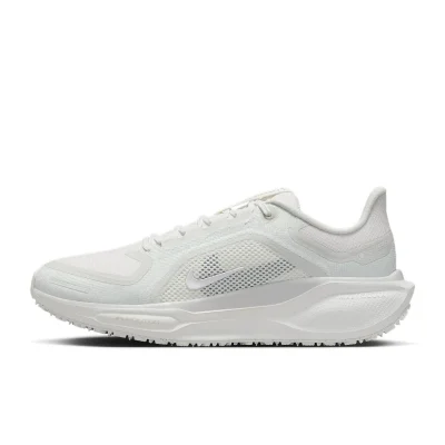 Nike Pegasus 41 GORE-TEX - FQ1357-101 - 1