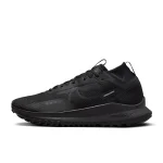 Nike Pegasus Trail 4 GORE-TEX - DJ7926-008 - 1