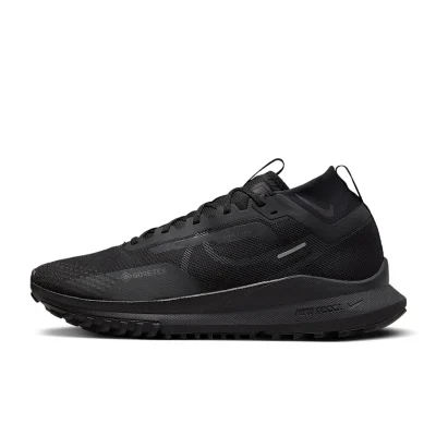 Nike Pegasus Trail 4 GORE-TEX - DJ7926-008 - 1