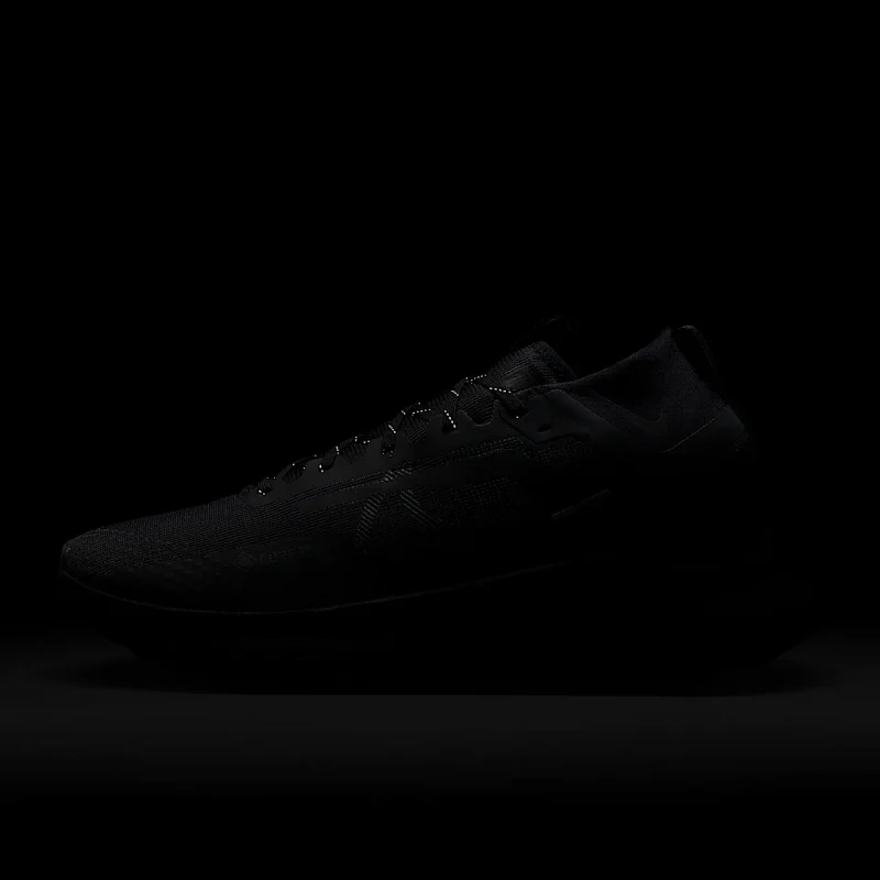 Nike Pegasus Trail 4 GORE-TEX - DJ7926-008 - 10