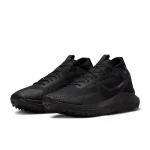 Nike Pegasus Trail 4 GORE-TEX - DJ7926-008 - 5