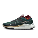 Nike Pegasus Trail 4 GORE-TEX - DJ7926-302 - 1