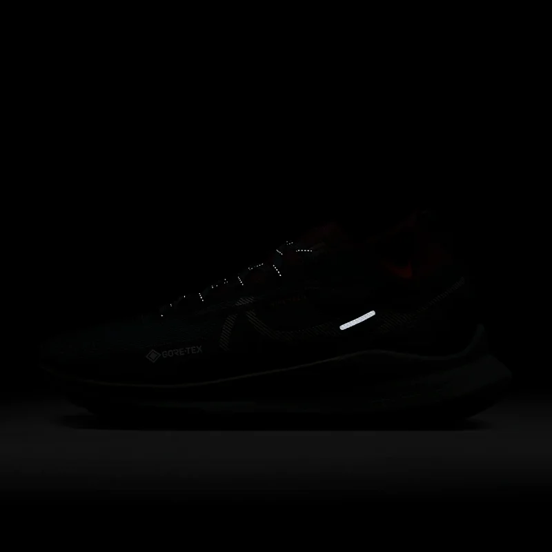 Nike Pegasus Trail 4 GORE-TEX - DJ7926-302 - 10