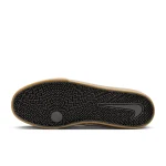 Nike SB Chron 2 Canvas - DM3494-101 - 2