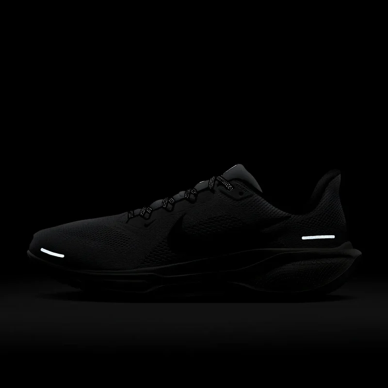 Nike Pegasus 41 - FD2722-105 - 11
