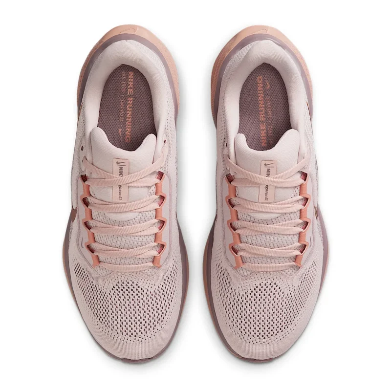 Nike Pegasus 41 - FD2723-604 - 2