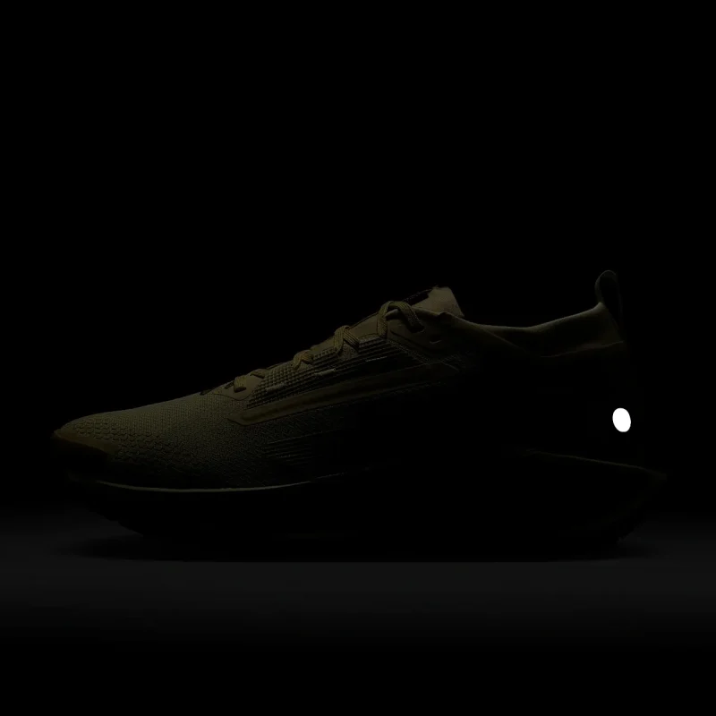 Nike Pegasus Trail 5 GORE-TEX - FQ0908-700 - 10