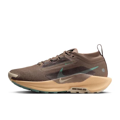 Nike Pegasus Trail 5 GORE-TEX - FQ0912-200 - 1