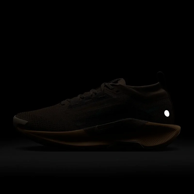 Nike Pegasus Trail 5 GORE-TEX - FQ0912-200 - 10