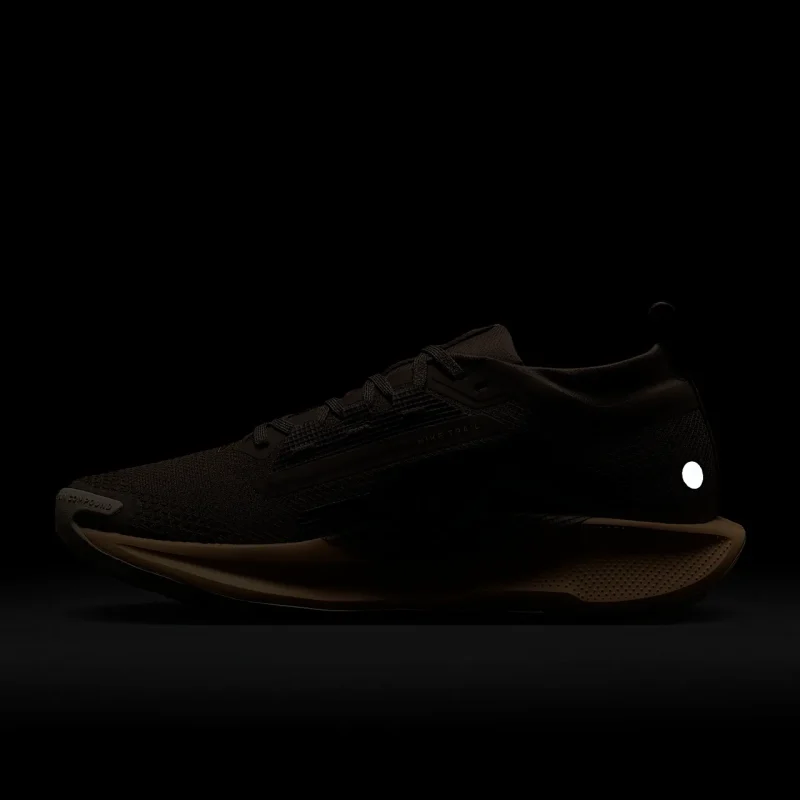 Nike Pegasus Trail 5 GORE-TEX - FQ0912-200 - 11