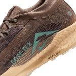 Nike Pegasus Trail 5 GORE-TEX - FQ0912-200 - 12