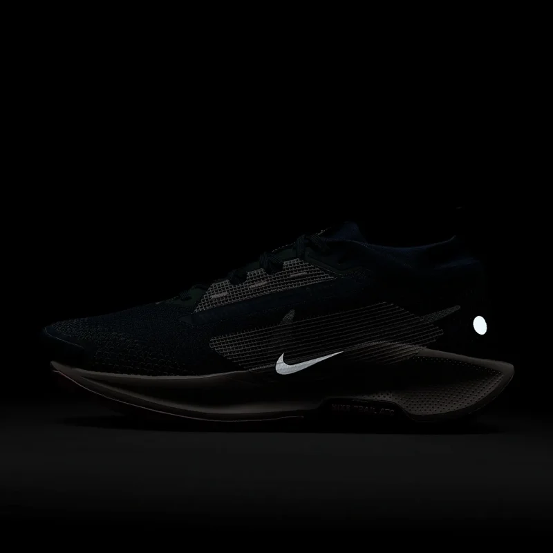 Nike Pegasus Trail 5 GORE-TEX - FQ0912-400 - 11