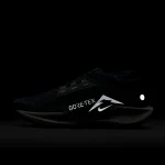 Nike Pegasus Trail 5 GORE-TEX - FQ0912-400 - 12