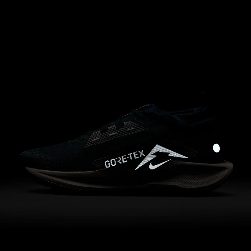Nike Pegasus Trail 5 GORE-TEX - FQ0912-400 - 12