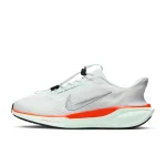 Nike Pegasus EasyOn - FQ7837-103 - 1
