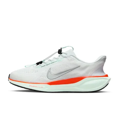 Nike Pegasus EasyOn - FQ7837-103 - 1