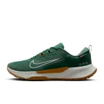 Nike Juniper Trail 2 GORE-TEX - HM9734-301 - 1