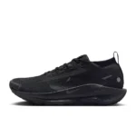 Nike Pegasus Trail 5 GORE-TEX