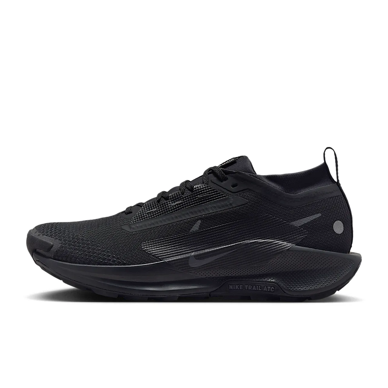 Nike Pegasus Trail 5 GORE-TEX